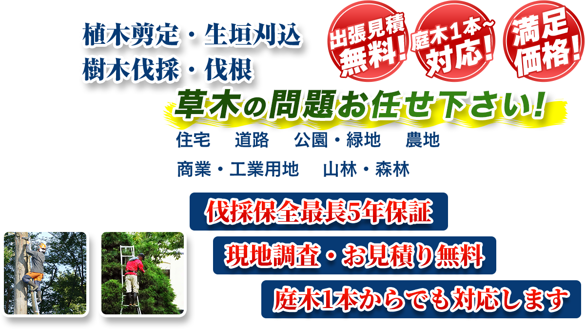 世田谷エリア即対応!! 出張無料! 庭木1本~対応! 満足価格! 植木剪定・生垣刈込 樹木伐採・伐根 草木の問題お任せ下さい! 住宅 道路 公園・緑地 農地 商業・工業用他 山林・森林 伐採保全最長5年保証 現地調査・お見積り無料 庭木1本からでも対応します