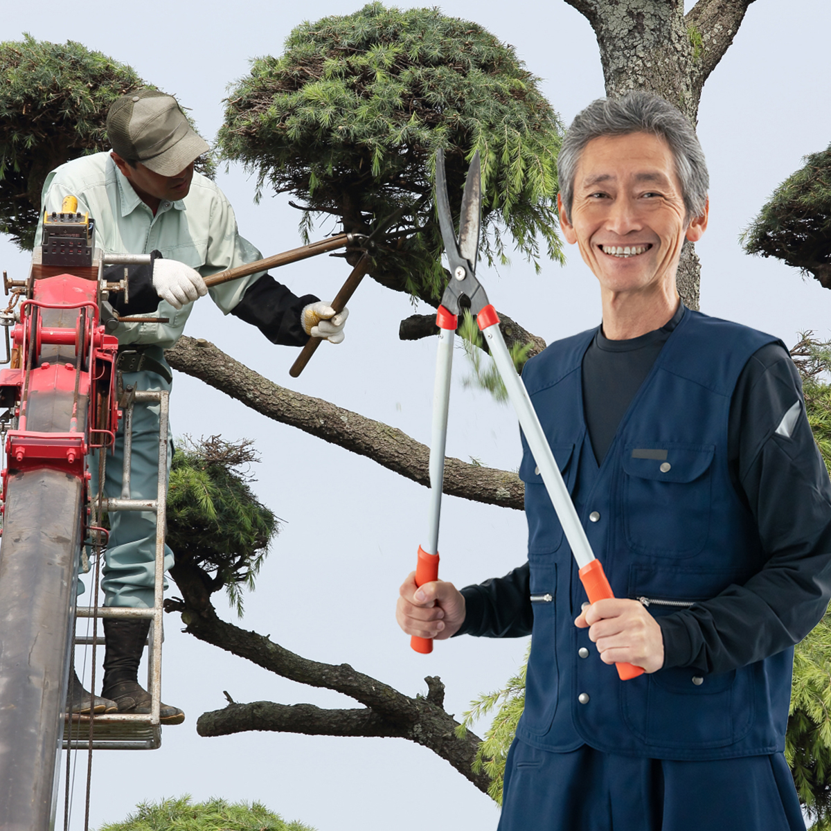 外構工事、草刈り、剪定